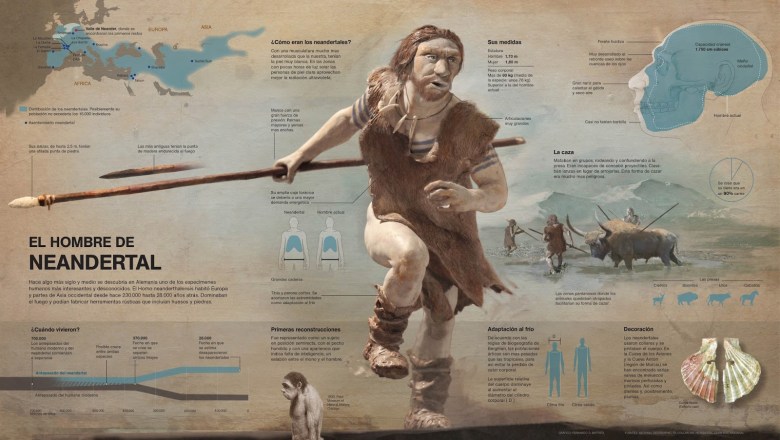 129283-original-neanderthal_final_escultura_5megas.jpg